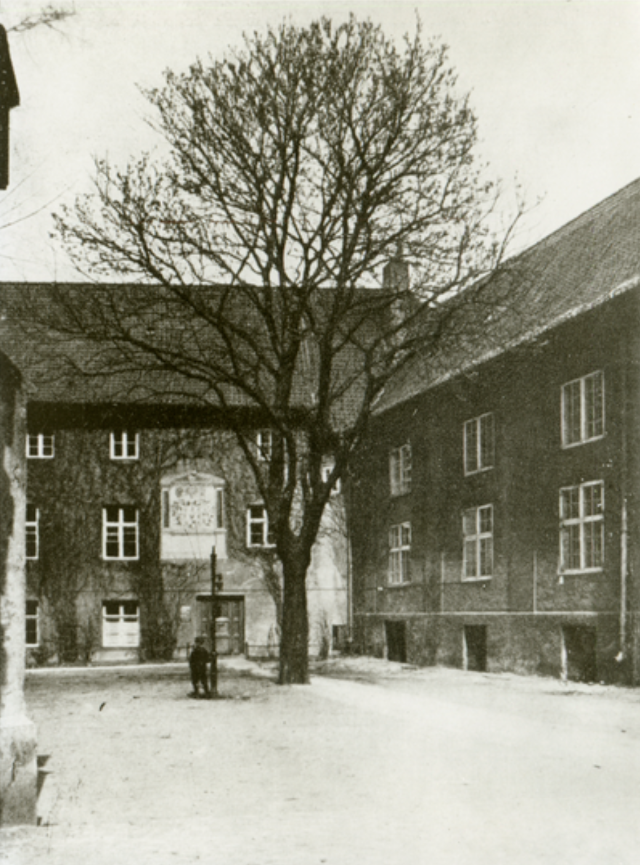 Biblioteka Miejska w Królewcu